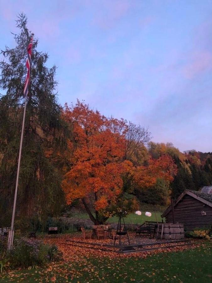 Skjeggestad Gjestehus Ringebu Bagian luar foto