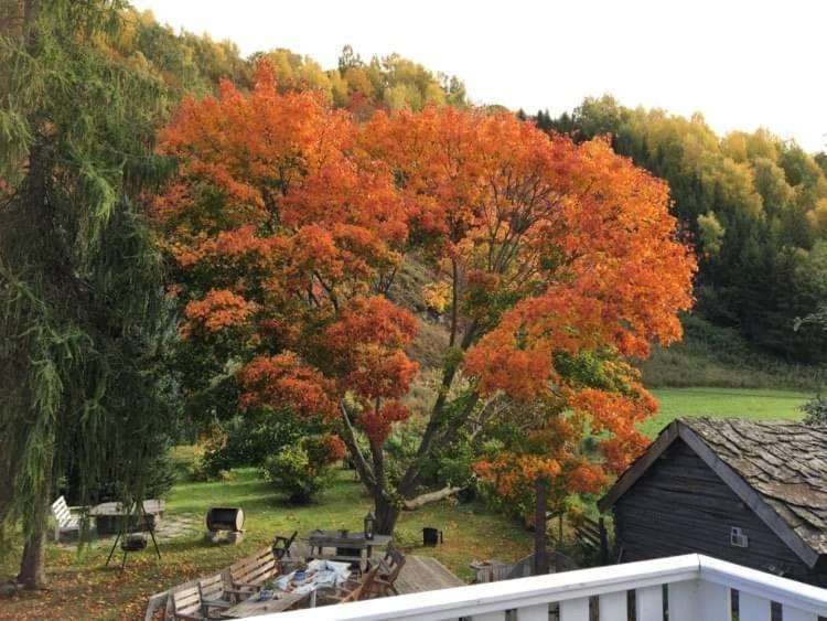Skjeggestad Gjestehus Ringebu Bagian luar foto